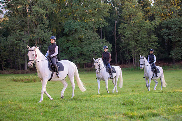 istock Women riding horses 507076204