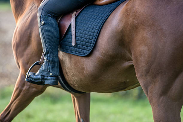 istock Woman riding horse 507077680