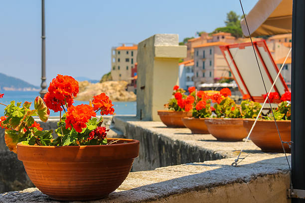 istock Decortive pots with flowers on the waterfront on Elba Island. 507079356