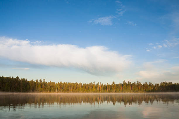 istock Forest lakeside landscape at summer morning 507081368