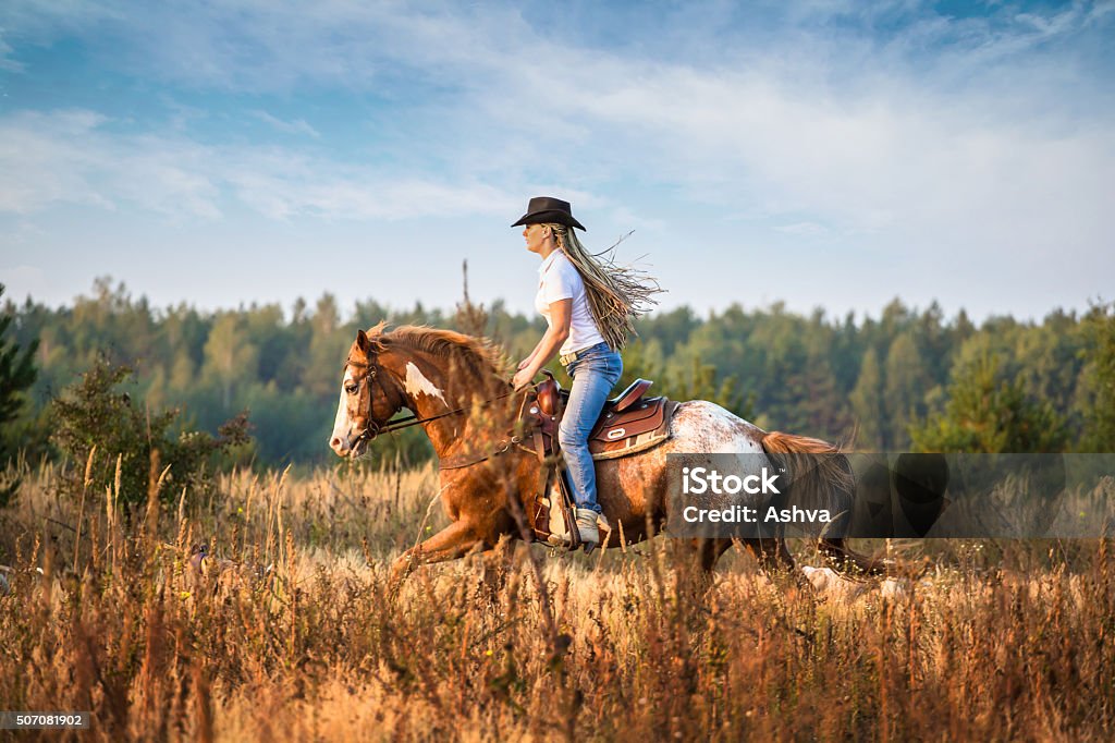 Girl riding on the Appaloosa horse Girl riding on the Appaloosa horse on the field in the tall yellow grass trees and sky background Cowgirl Stock Photo