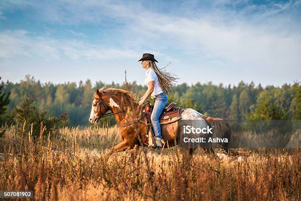Girl Riding On The Appaloosa Horse Stock Photo - Download Image Now - Cowgirl, Cowboy, Appaloosa Horse