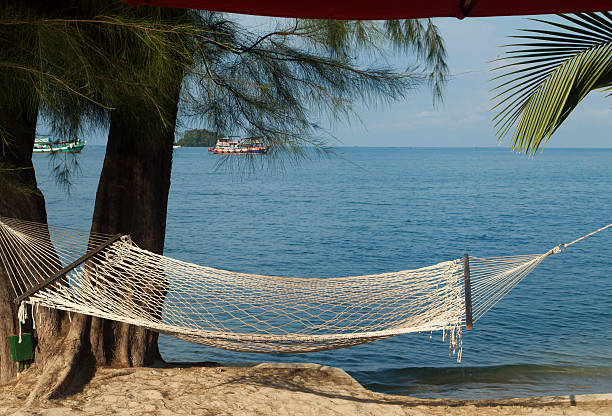 istock Palm trees by the sea 507083958