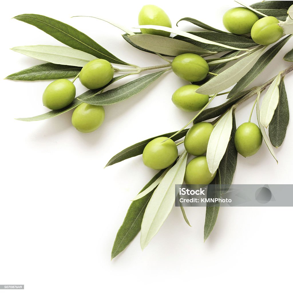 olives green olives branch on white background. copy space Olive Branch Stock Photo