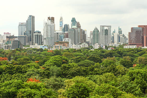 istock Bangkok skyline over Lumpini park 507087683