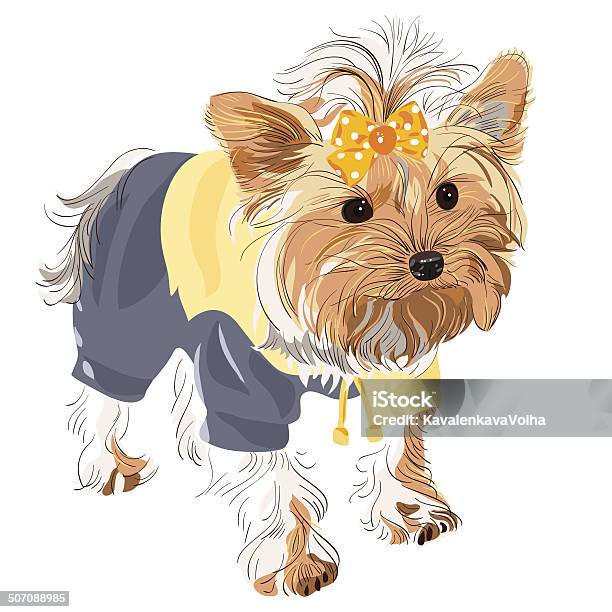 Vector Pedigreed Dog Yorkshire Terrier Stock Illustration - Download Image Now - Animal, Blue, Brown