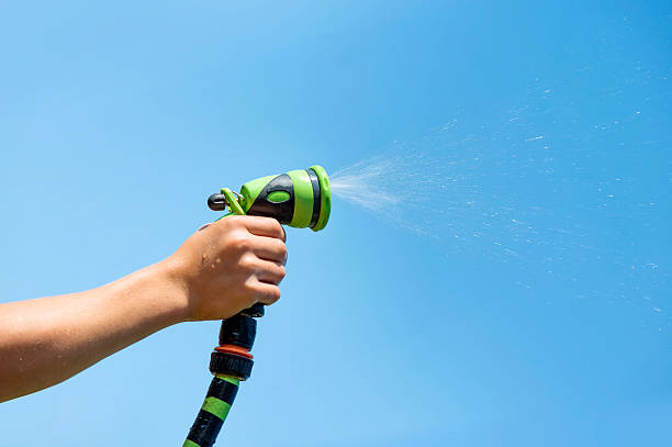 hand watering stock photo