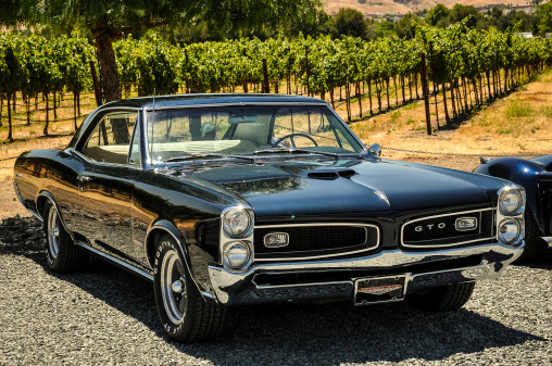Livermore, CA, USA – July 8, 2012:  Midnight Blue 1966 Pontiac GTO at Ruby Hills Winery in Livermore, CA