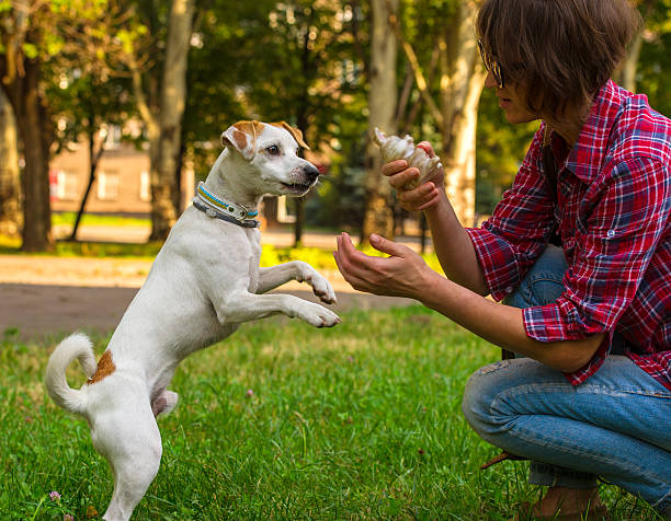 istock woman and dog 507092127