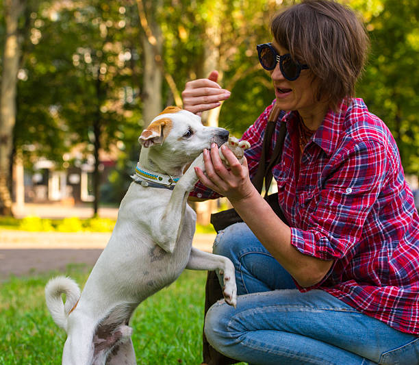 istock woman and dog 507092135
