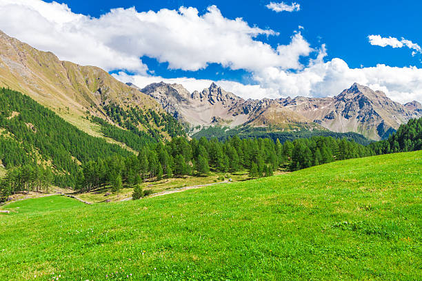 istock Beautiful mountain range in Swiss Alps, Grisons, Switzerland 507093293