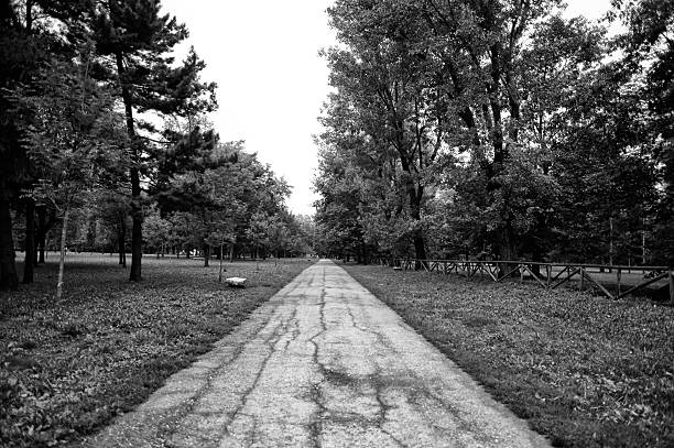 City Park