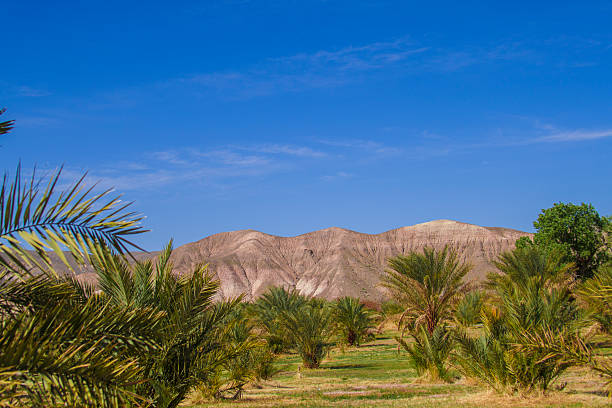 Fluss Draa River Fotos Bilder und Stockfotos iStock