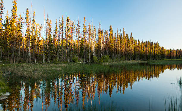 istock Sunset on the lake 507094335