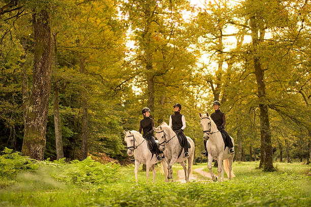 istock Women riding horses 507105502