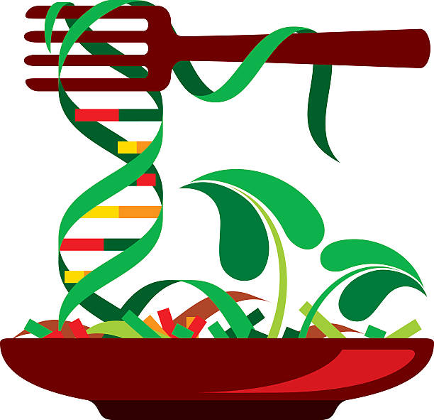 żywność modyfikowana genetycznie - genetic modified food stock illustrations