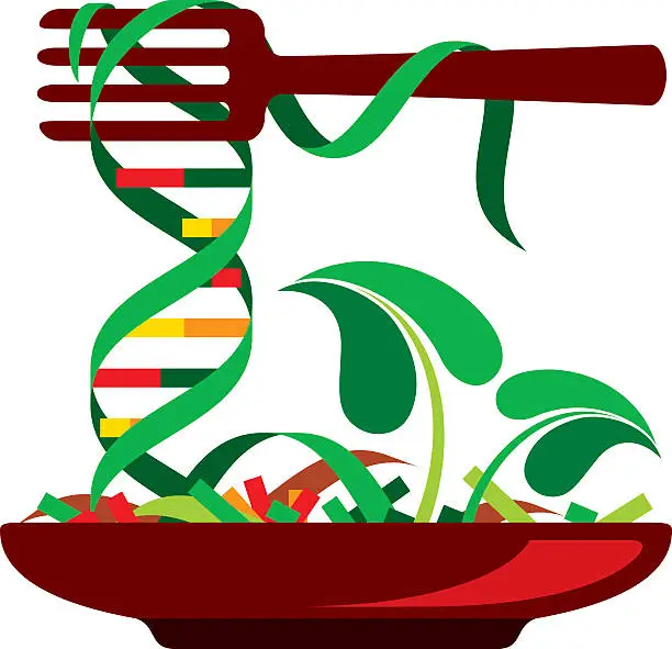 Vector illustration of Genetically Modified Food