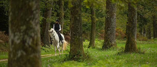 istock Woman riding horse 507107062