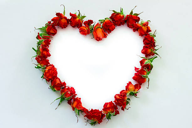 istock image of Heart-shaped red roses 507109958