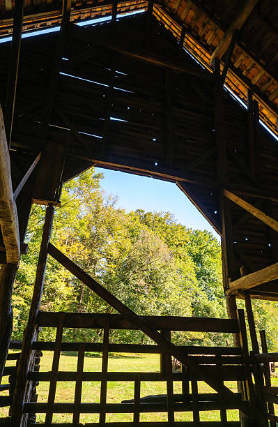 istock Great Smoky Mountains National Park 507110718