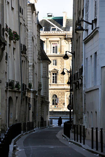 istock Narrow street of Paris 507113432