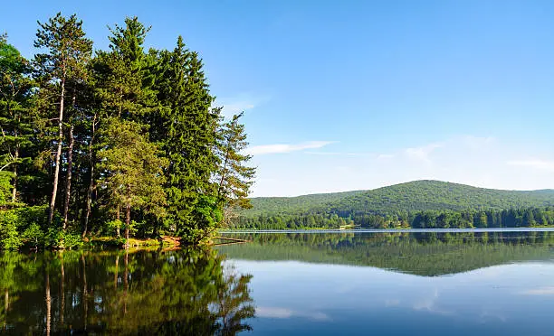 Photo of Allegany State Park