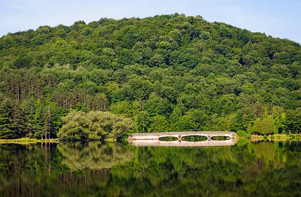 Photo of Allegany State Park