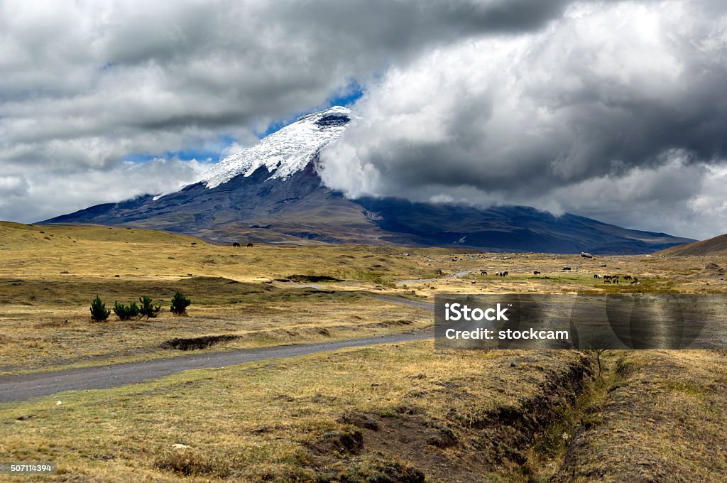 Volcano Cotopaxi national park, Ecuador Road in the "Parque Nacional Cotopaxi" with the volcano in the background. The Cotopaxi is the third highest active volcano in the world. It raises 19388 feet (5911 m) above the sea level. Its peak is a popular destination for climbers. It is located in Ecuador near Quito. Ecuador Stock Photo