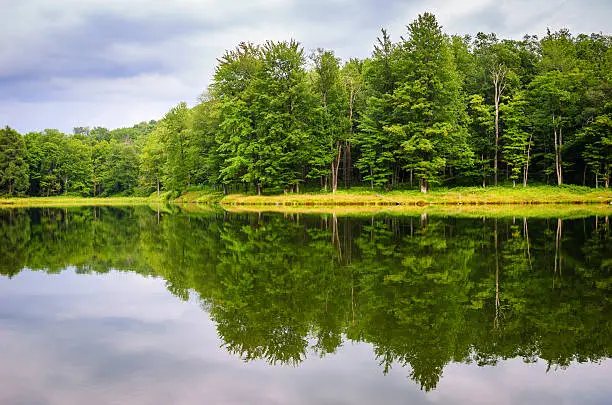 Photo of Allegany State Park