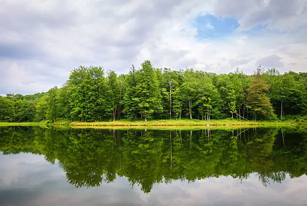 Photo of Allegany State Park