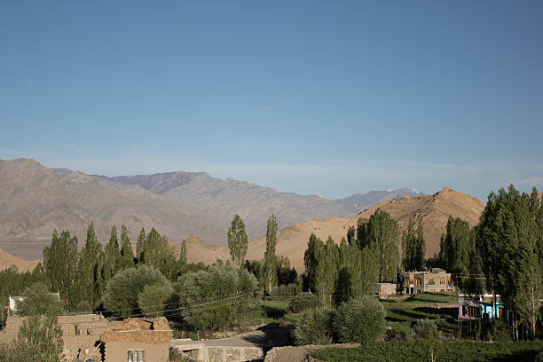 istock house under tree  and moutain in summer 507114692