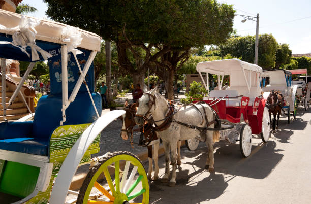 cadeiras perto cavalo central park em granada, nicarágua - developing countries urban scene outdoors horizontal imagens e fotografias de stock