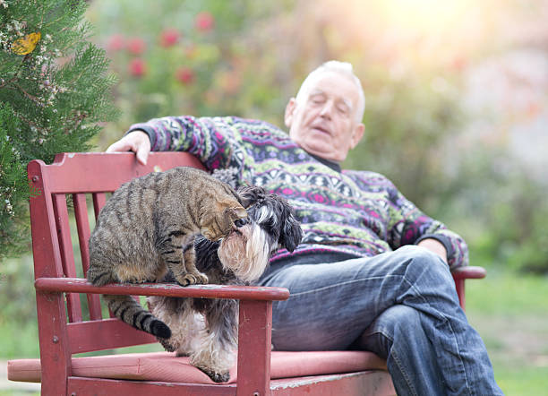 istock Senior man with cat and dog 507116492