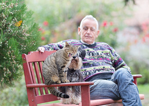 istock Senior man with cat and dog 507116704