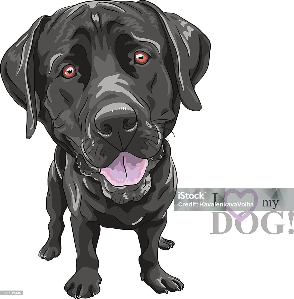 Drôle de dessin animé vector noir race de chien Labrador Retriever - clipart vectoriel de Retriever du Labrador libre de droits