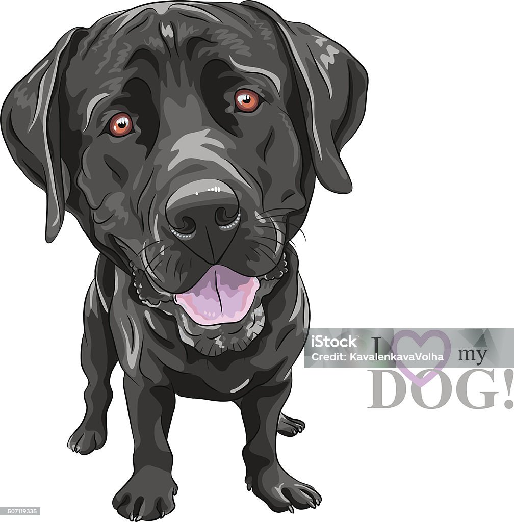 vector funny cartoon black dog breed Labrador Retriever portrait of a close-up of smiling black dog breed Labrador Retriever Labrador Retriever stock vector