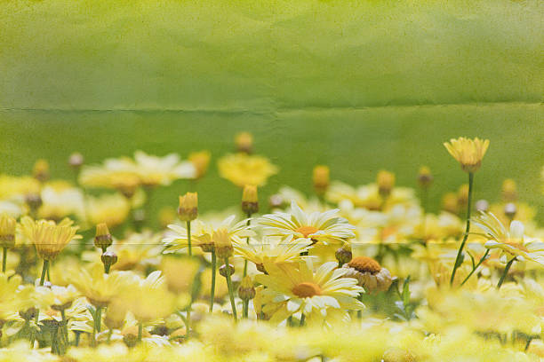istock flower meadow paper background 507119486