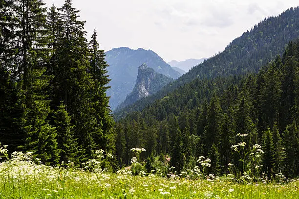 Mountain Kofel in the Bavarian Alps, summertime