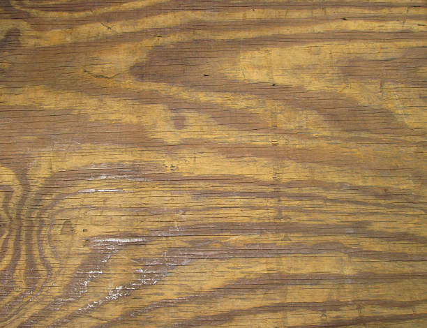 istock Texture of wood background close up 507120699