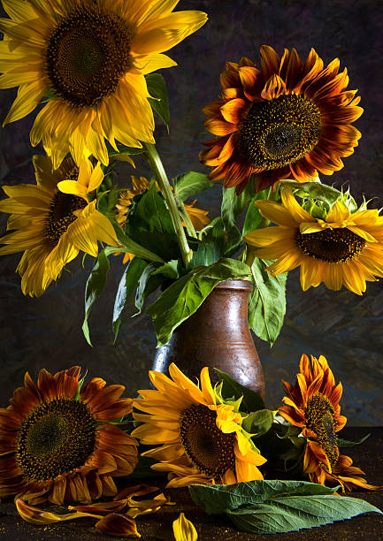 istock Beautiful sunflowers in a vase 507120971