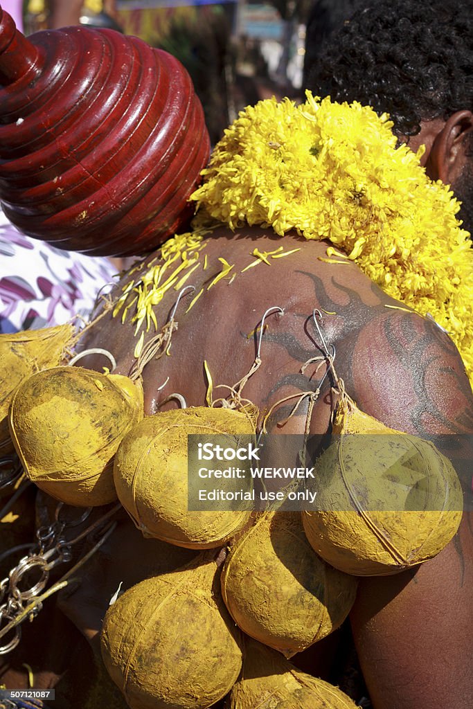 Индуистский поклонницей из coconuts с иголками для прокола изоляции - Стоковые фото Без людей роялти-фри