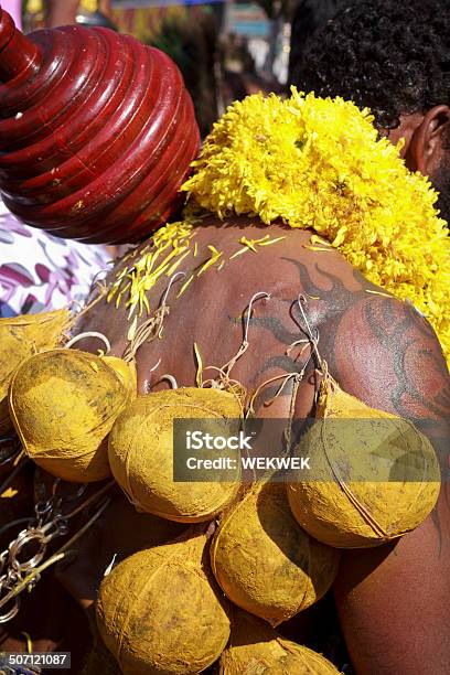 Индуистский Поклонницей Из Coconuts С Иголками Для Прокола Изоляции — стоковые фотографии и другие картинки Без людей