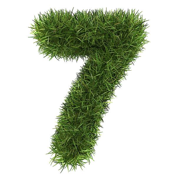 istock numbers of green grass concept. isolated on white. 507121127