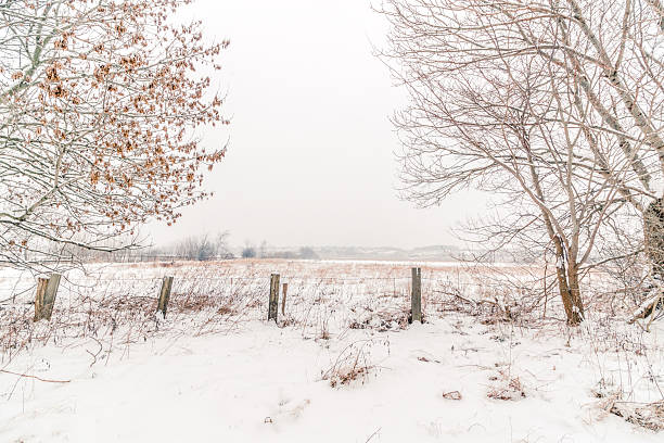 istock Countryside winter landscape with a fence 507121416