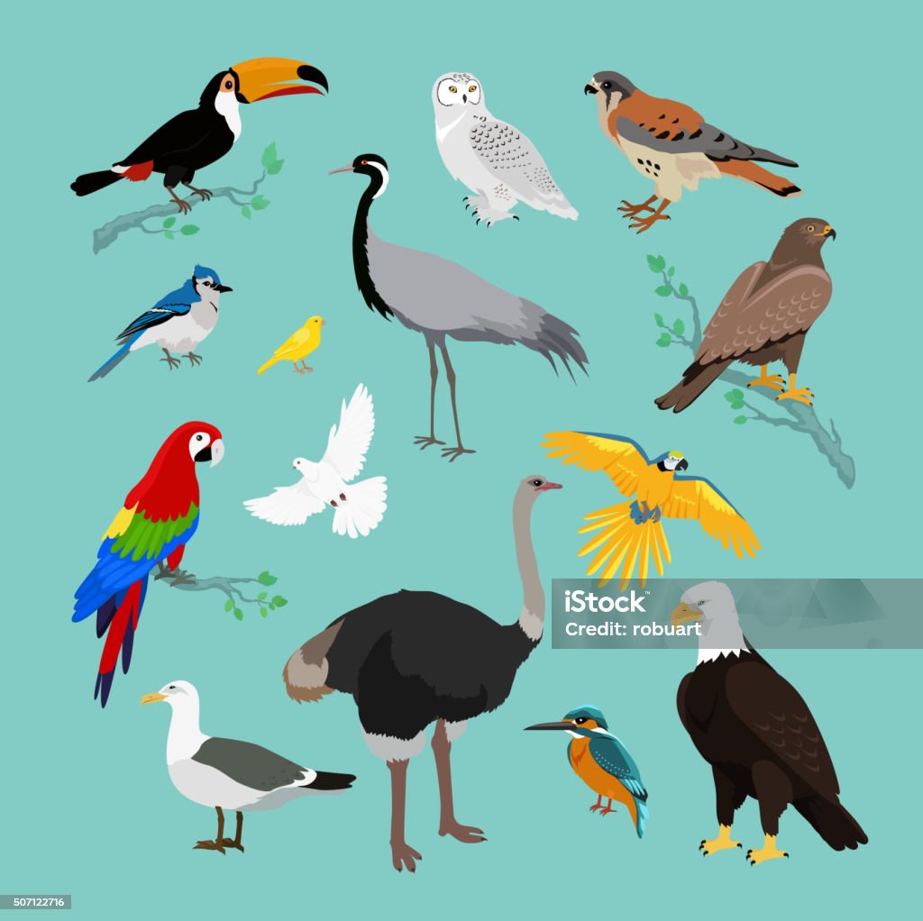 Ilustración de Varios Colección De Aves Diseño Plano y más Vectores Libres  de Derechos de Pájaros volando en formación - Pájaros volando en formación,  Loro, Pájaro - iStock