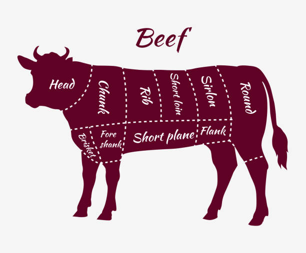 system kawałków wołowiny dla stek i palona - wound cutting beef vector stock illustrations