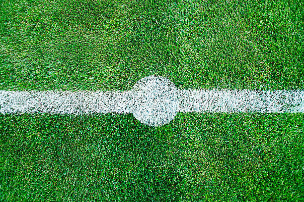 Lawn on football field.