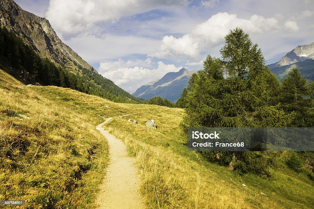 Camminare intorno al Lago Sils (Valle Engadina-Svizzera) - Foto stock royalty-free di Alpi