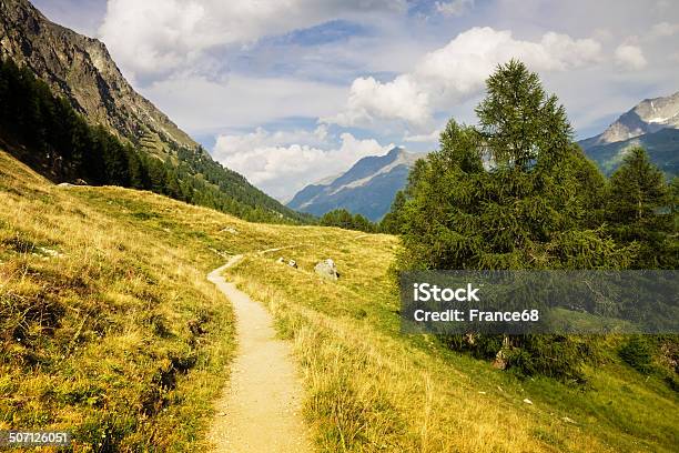 Camminare Intorno Al Lago Sils - Fotografie stock e altre immagini di Alpi