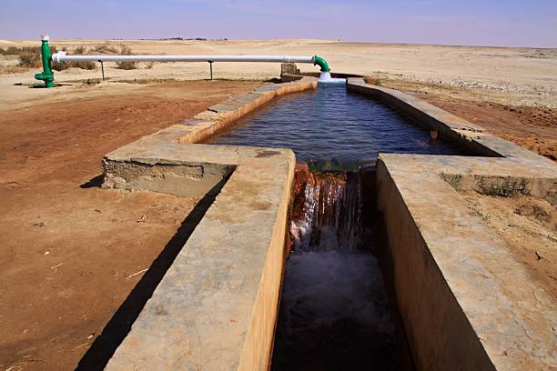 istock Spring of water in desert,Egypt 507126401